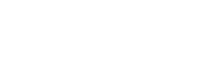Flexible Plan Investments